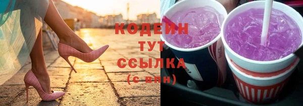 хмурый Аркадак