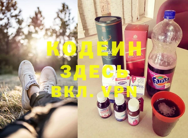 прущие грибы Армянск