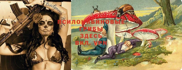 прущие грибы Армянск