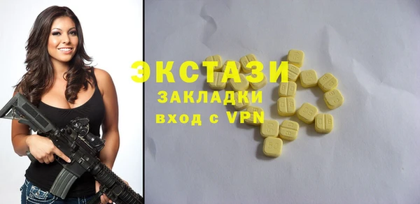 хмурый Аркадак