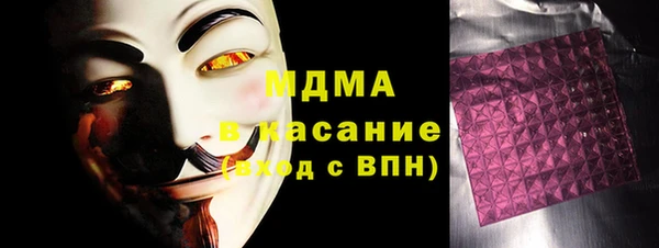 хмурый Аркадак