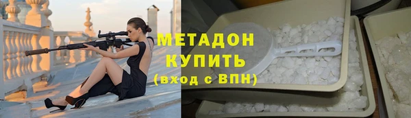 хмурый Аркадак