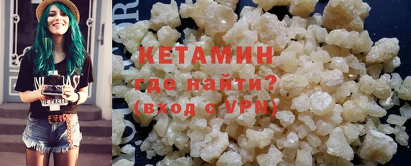 хмурый Аркадак