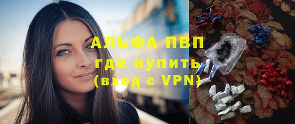 хмурый Аркадак